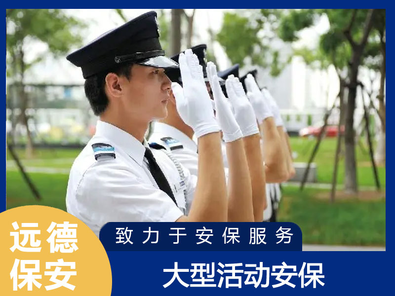 杨浦大型活动现场安保